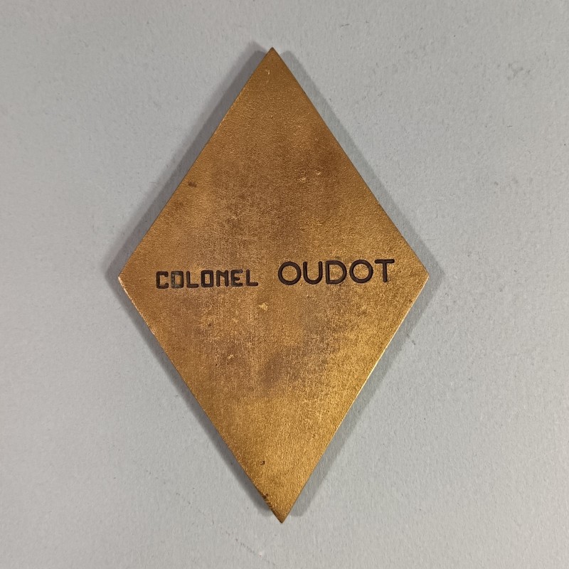 INSIGNE PLAQUE EN BRONZE DU 159 ème RIA 15-9 REGIMENT D'INFANTERIE ALPINE MEQUEE DU COLONEL AU DOS 1968-1970